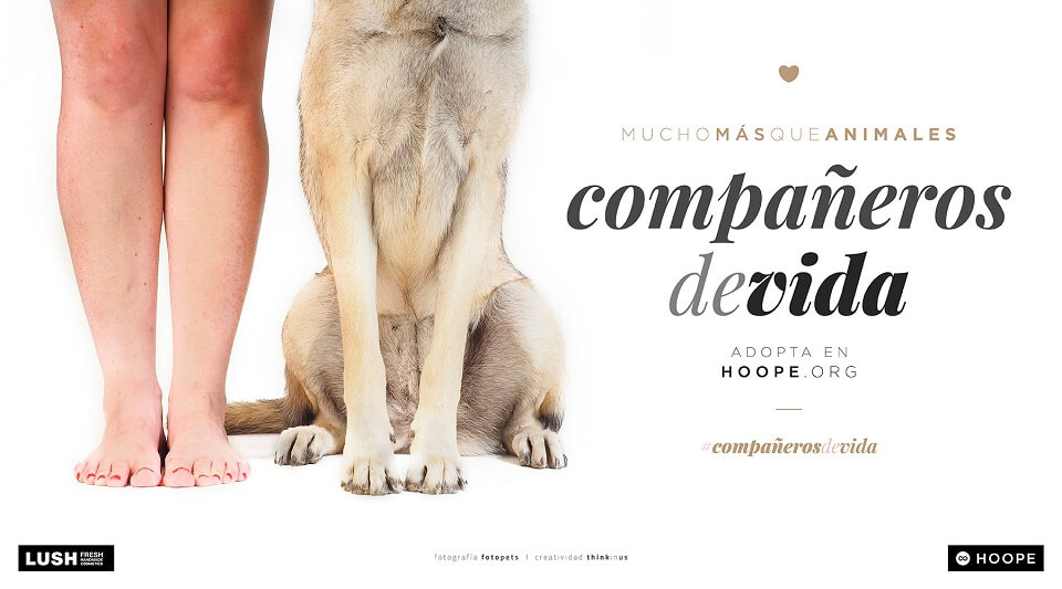#compañerosdevida