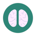brain